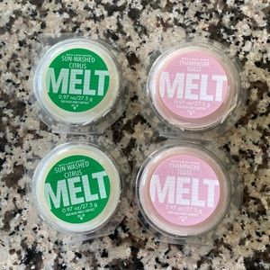 Bath and Body Works Wax Melts! No longer sold in stores!